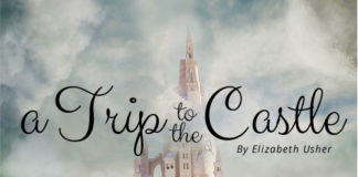 A Trip to the Castle - essay contest