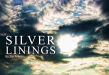 Silver Linings - 2nd Place Winner, 14th Annual Essay Contest