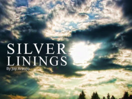 Silver Linings - 2nd Place Winner, 14th Annual Essay Contest