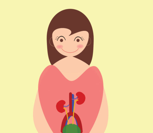 Treatment Options for Kidney Disease