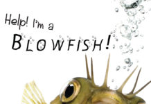 Weight Gain-Help-Im-a-Blowfish-Kidney-Talk