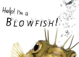 Weight Gain-Help-Im-a-Blowfish-Kidney-Talk