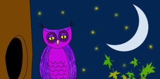 Hemodialysis for Night Owls-Kidney-Talk