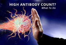 antibody count-kidney talk