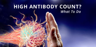 antibody count-kidney talk