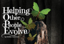 helping other people evolve - 2015 essay