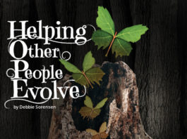 helping other people evolve - 2015 essay