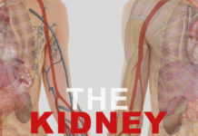 the Kidney project-Kidney-Talk