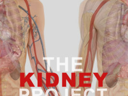 the Kidney project-Kidney-Talk