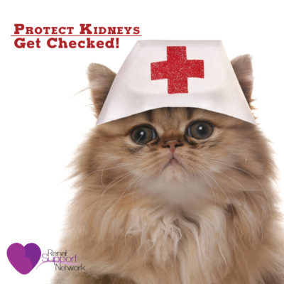 Protect your kidneys - get checked