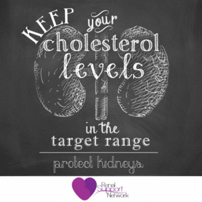 Protect kidneys - Cholesterol