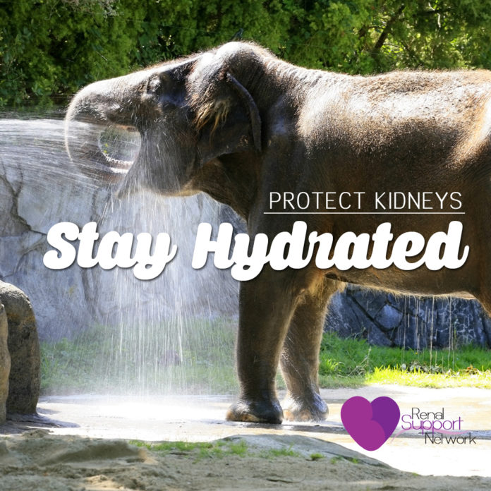 protect kidneys - Stay Hydrated