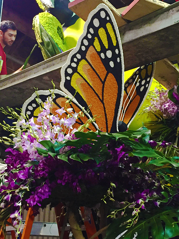 Butterfly-Donatelife float