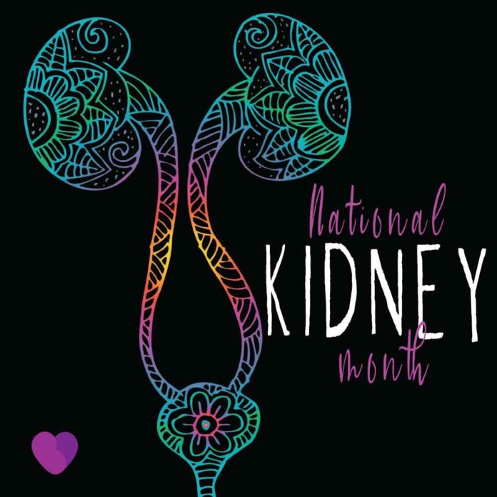 Protect Kidneys Stay Hydrated Renal Support Network