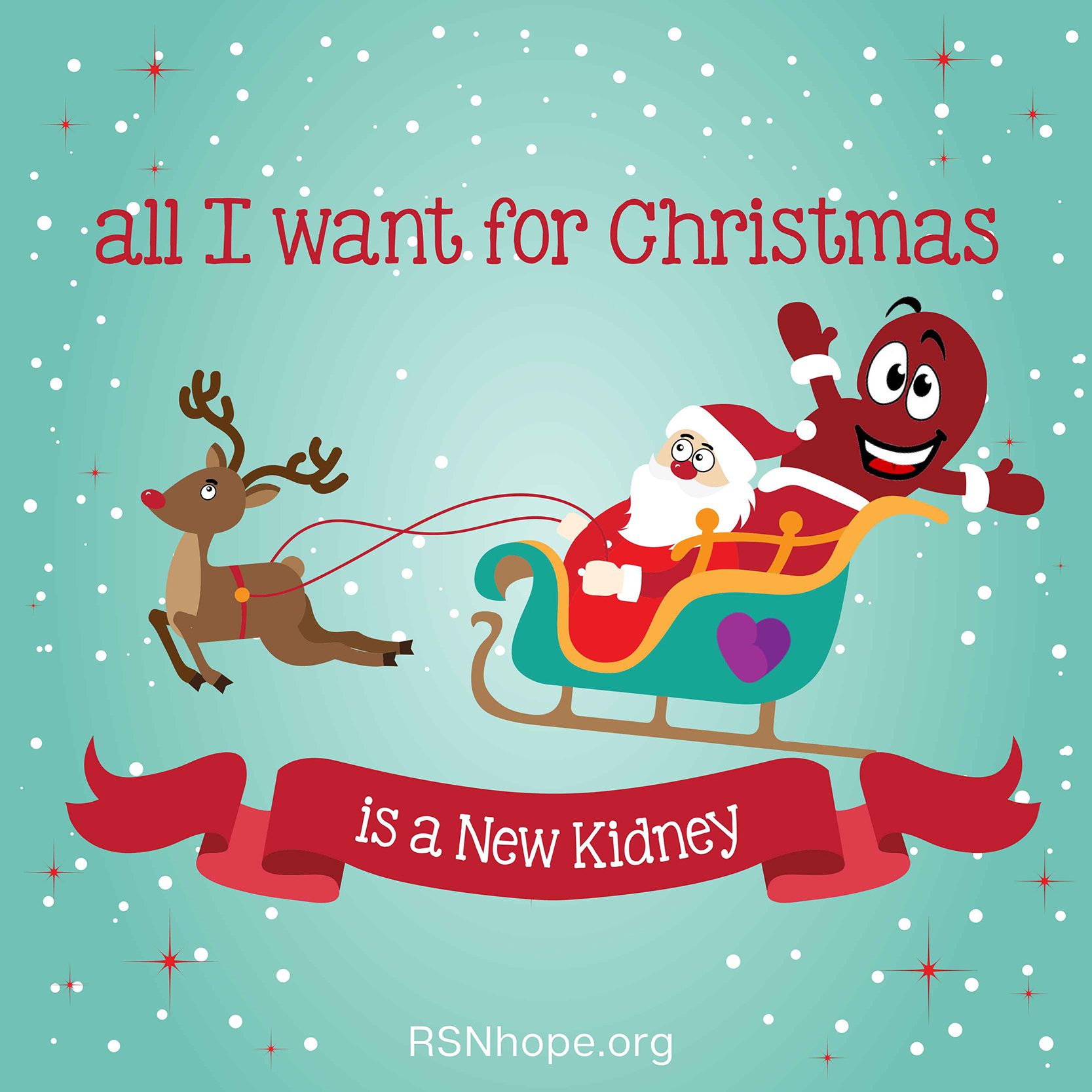 santa in his sleigh renal support network