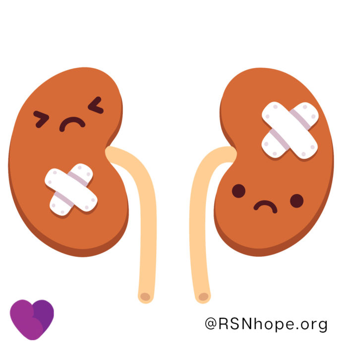 Share Your Spare Renal Support Network