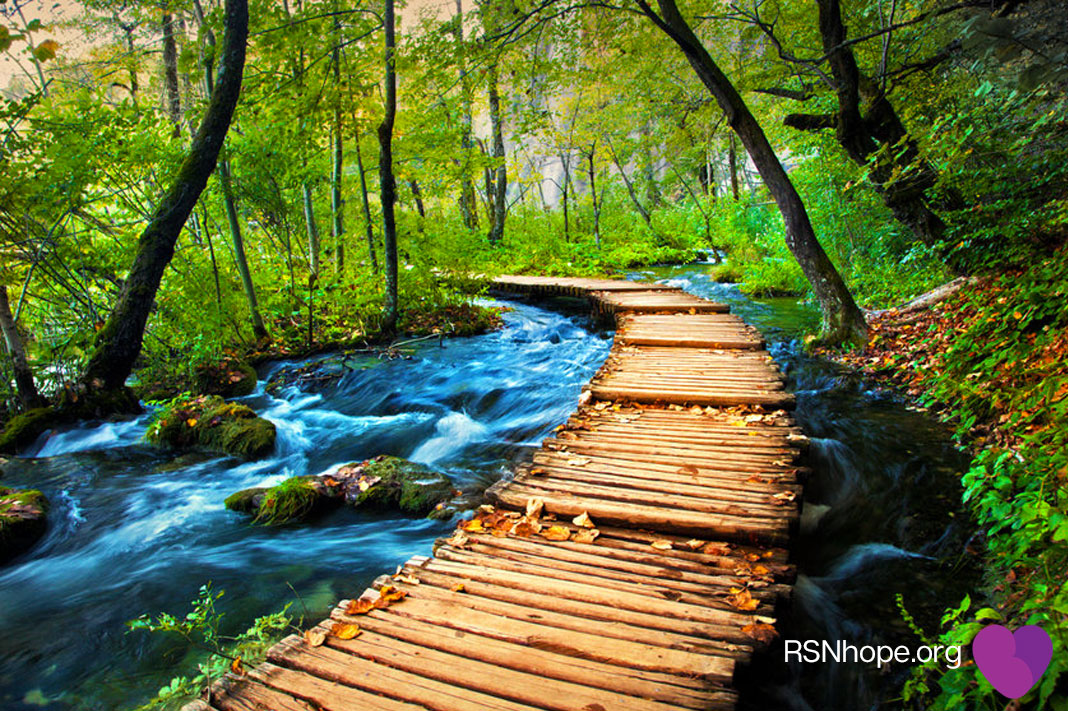 Ambient-nature-stream-meditation
