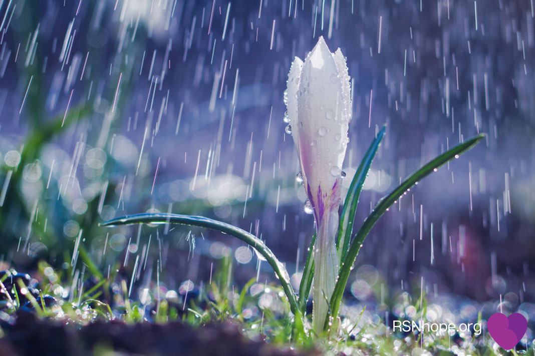Ambient-rain-meditation