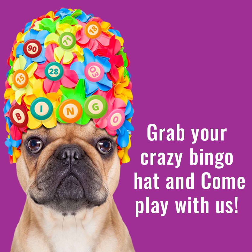 bingo-home-page