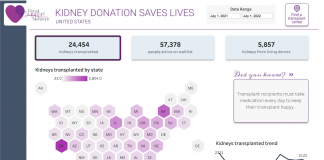 The Yellow Brick Road - Renal Support Network