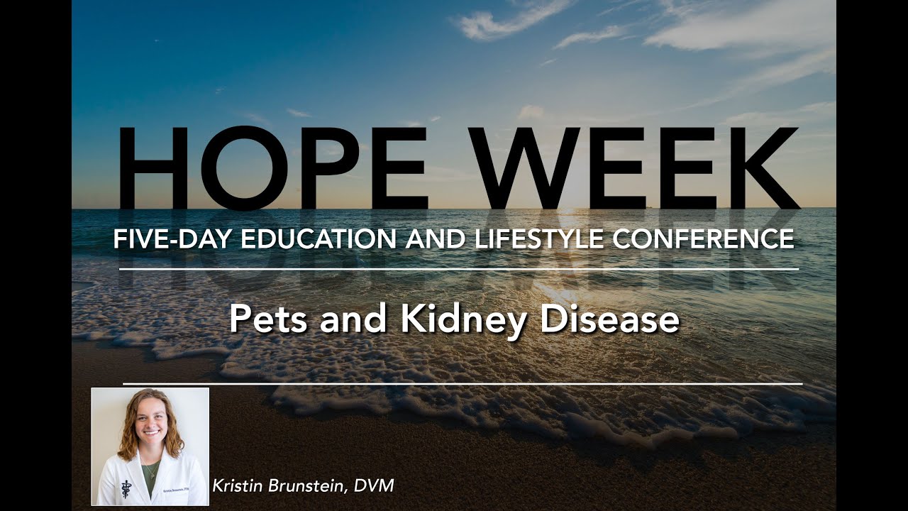 Pets and Kidney Disease Renal Support Network