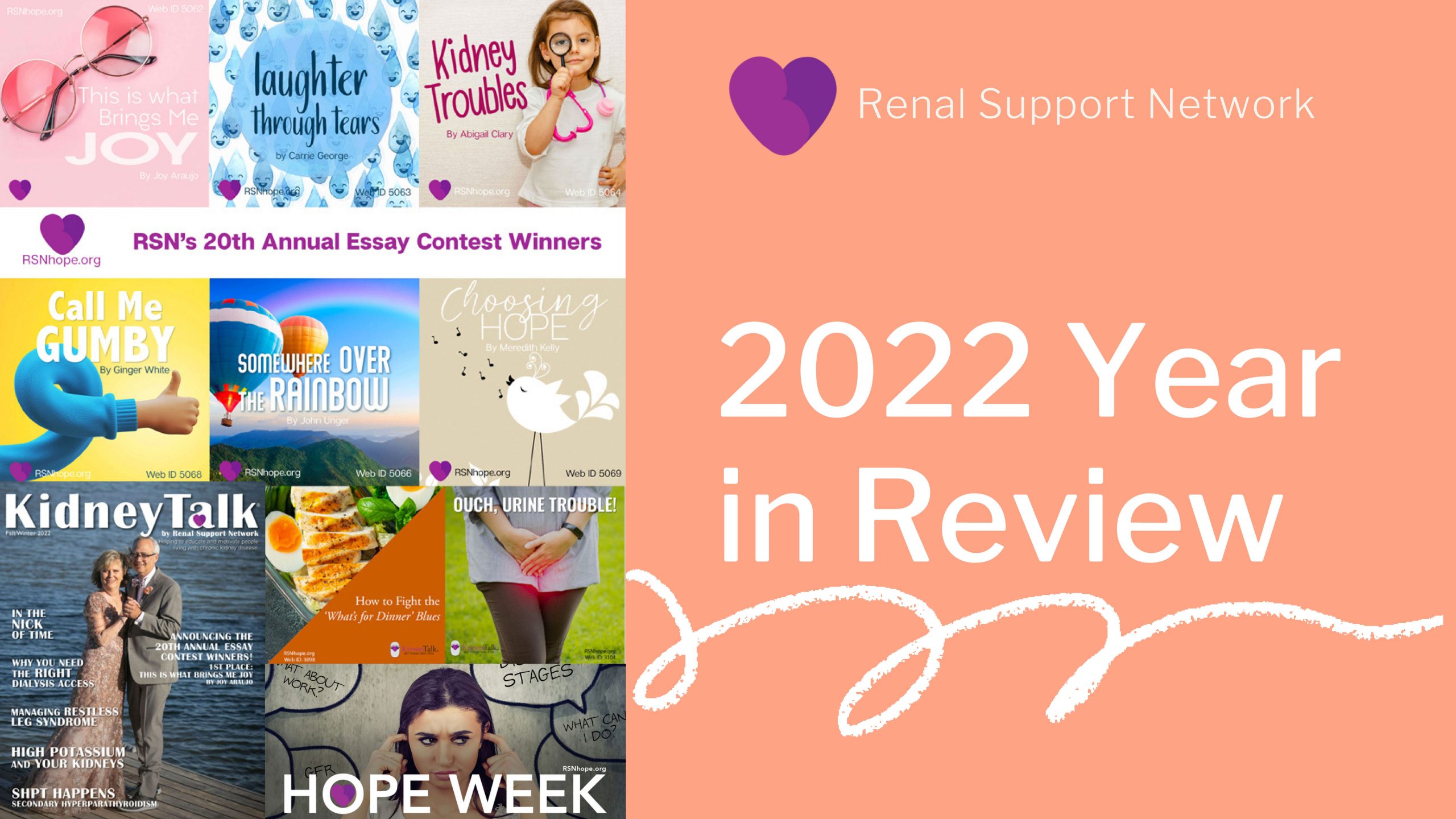 RSN-2022-Review-Web