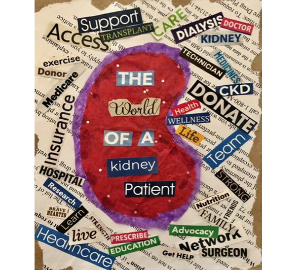 Janine-kidney-collage