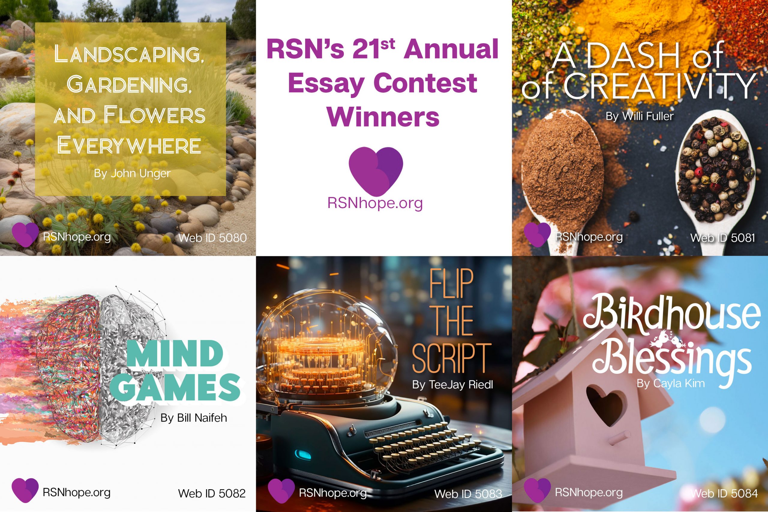 essay-winners-collage-top-five